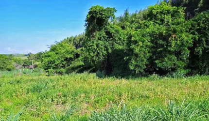 Terreno à venda, PAUDALINHO - PIRACICABA/SP