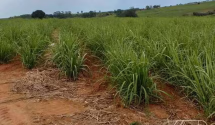 Área à venda, TIETE - TIETE/SP
