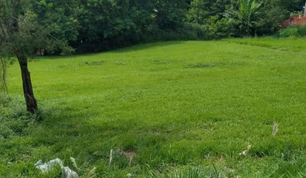 Imperdível: Terreno Comercial 1074 m² – Abaixo do Valor de Mercado