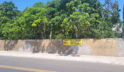 TERRENO COMERCIAL - MULTIFAMILIAR(PI016-08)