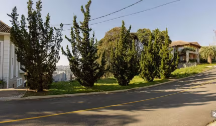 Terreno para Venda em Curitiba, São João