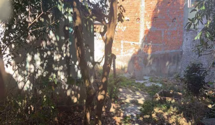 Terreno Jardim Penha São Paulo/SP