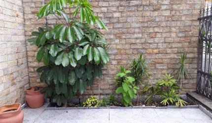 Casa Jardim Anália Franco São Paulo/SP