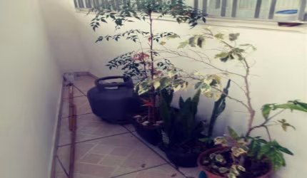 Sobrado Vila Graciosa São Paulo/SP