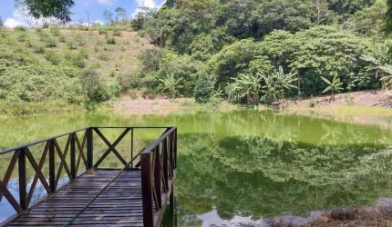 Sítio à venda, 13ha, Duas casas;77 e 520m², 5 quartos; 2 suítes; pé direito alto; canil 18m²; pomar