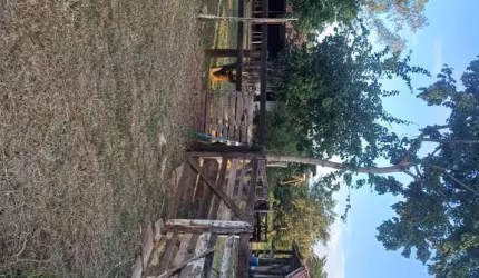 Rancho em Barreiras BA; com 30 hectares infraestrutura completa.