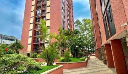 Apartamento para venda possui 77 metros quadrados com 3 quartos em Jardim Íris - São Paulo - SP