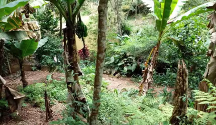 Terreno, Estância Piratininga, Suzano - $ 180 mil,