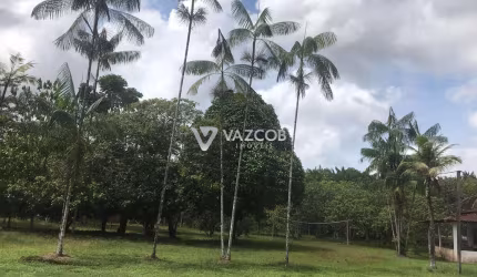 Sítio com piscina em Benfica