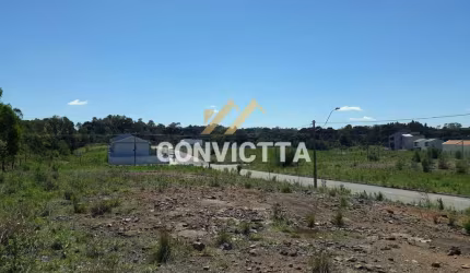 TERRENO PARA VENDA NO BAIRRO BELA VISTA