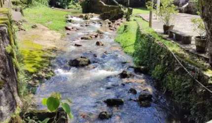 Sítio em Parque Silvestre à Venda
