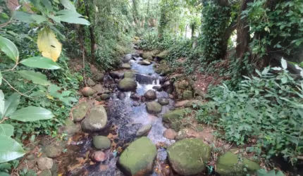 Terreno com Cachoeira nos Fundos à Venda em Guapimirim