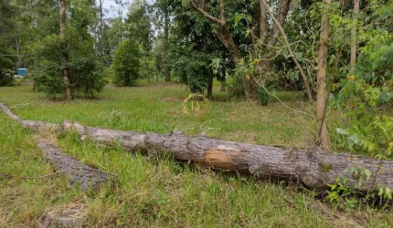 TERRENO DE 300mt², BERTO CÍRIO