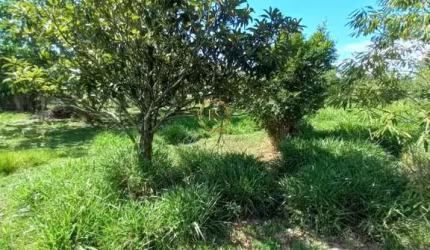 TERRENO 500 mt², BAIRRO CAJU
