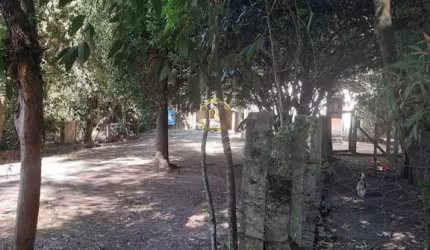 Chácara à venda em Nova Santa Rita, Bairro Berto Círio - Ótima localização!