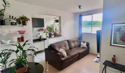 Apartamento com 2 quartos à venda em Vila Mafalda - SP