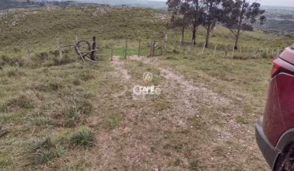 Atenção pecuarista área de pecuária em Caçapava excelente localização!