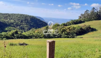 Área na Silveira Martins