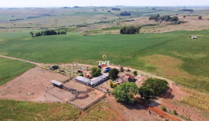 Fazenda com sede completa, 63 hectares, ótima infraestrutura, soja, pecuária.