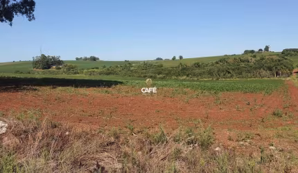 Propriedade rural ideal para Agricultura possui 13 hectares ao lado da BR 158