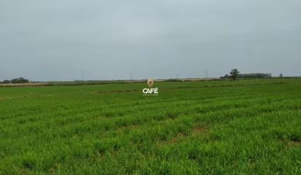 EXCELENTE área rural em Alegrete