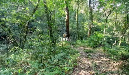 Lote (Área) Em Itaara De 3 Hectares.