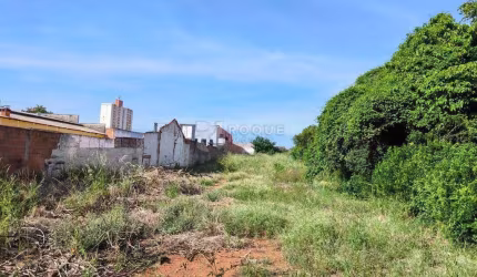 Terreno à venda no bairro Chácaras Antonieta
