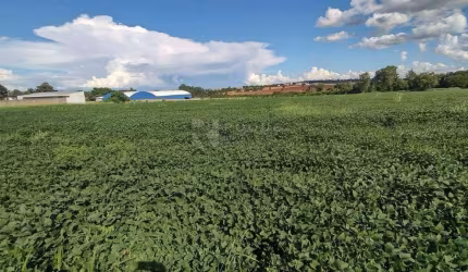 Área a venda em Limeira, com ótima topografia e 45 mil metros