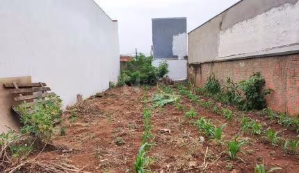 Terreno à venda no bairro Jardim Lagoa Nova