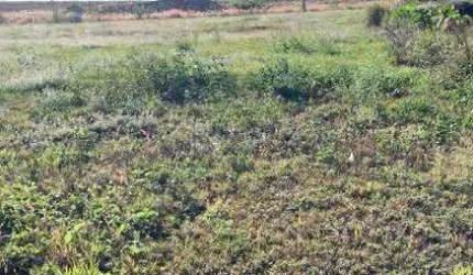 Terreno para aluguel no bairro Residencial Colinas do Engenho I