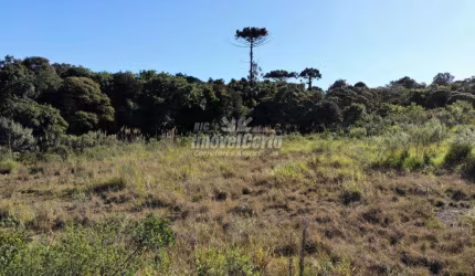 Terreno comercial à venda na Rua Mário Dybas, 117, Cidade Industrial, Curitiba por R$ 10.948.796