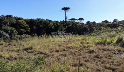 Terreno à venda na Rua Mário Dybas, 117, Cidade Industrial, Curitiba por R$ 3.575.000