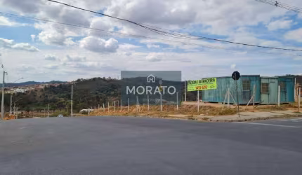 lote Disponível para venda lote de equina