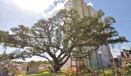 Apartamento 2 dormitórios