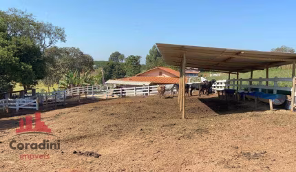 Sitio em Minas Gerais por R$ 550.000,00