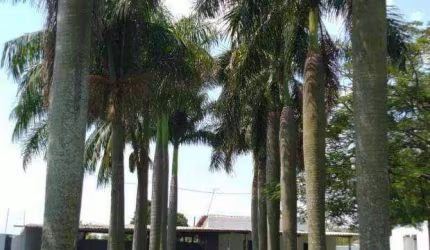 Chácara com 2 dormitórios à venda, 2821 m² por R$ 2.000.000 - Recanto Ceci - Nova Odessa/SP