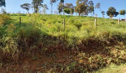 Terreno com linda vista, 1200 m2 de área total.