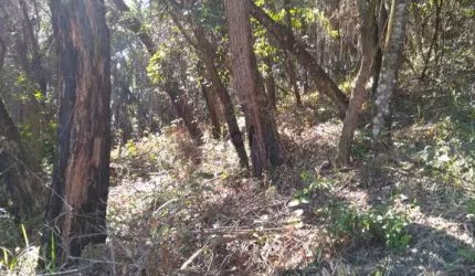 Terreno em Loteamento Eldorado em Itu com 2.800m² com ótima topografia e Oportunidade de Preço!
