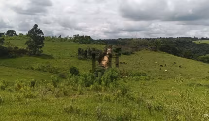 Excelente oportunidade de investimento em uma área rural de 75