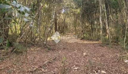 Terreno à venda na Rodovia Jose Bueno de Miranda, 100, Zona Rural, Munhoz por R$ 190.000