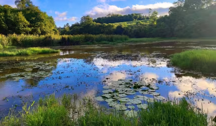 Chácara / sítio com 1 quarto à venda na Avenida Brasil, 1000, Zona Rural, São Miguel Arcanjo, 125598 m2 por R$ 750.000