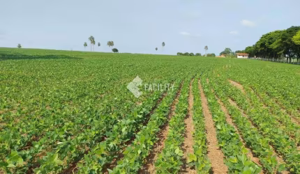Fazenda à venda na Rural, 500, Área Rural de Avaré, Avaré, 968000000 m2 por R$ 13.000.000