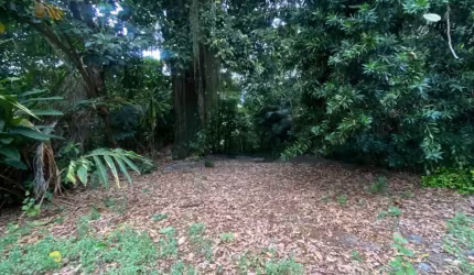 TERRENO COM 4.474M²-TANQUE-OPORTUNIDADE
