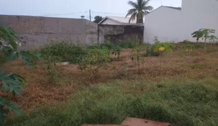 Terreno Residencial em Jardim Santa Antonieta - Marília, SP