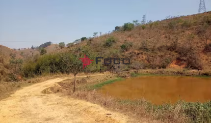 Fazenda de Eucalipto  e de Gado / 337 hectares / 02 casas (principal e empregados )  Escriturada / Areias - SP