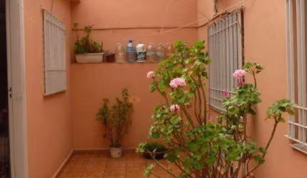 CASA TÉRREA à venda, 2 quartos, 3 vagas, Jardim Patente - São Paulo/SP