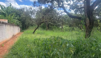 EXCELENTES LOTES A VENDA , BAIRRO SATÉLITE!