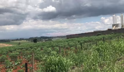 Terreno INDUSTRIAL á 1km Castelo Branco km99 sentido Sorocaba (Próx. Empres
