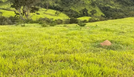 Gleba 174 hectares Poços de Caldas MG