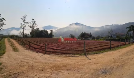Terreno à venda, Santa Barbara, Antônio Carlos, SC